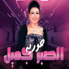 الصبر جميل (live)