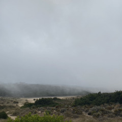 nesupranti ft 78SPOT