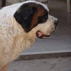 lost my friends in london