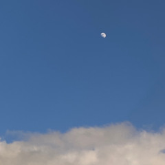 $HINY MEW (prod. by ZvanZ)