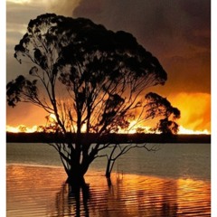 Fire and Flood