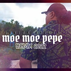 MOE MOE PEPE REMIX 2022