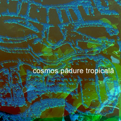 cosmos pădure tropicală