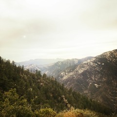 Exposure 072 - Sweaty Mushroom Songs (6.24.22)