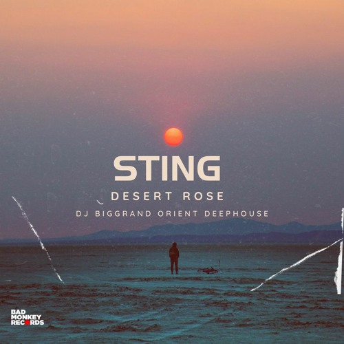 Stream Sting - Desert Rose (DJ BigGrand Orient DeepHouse Edit) by DJ  BigGrand | Listen online for free on SoundCloud