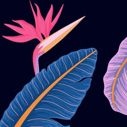 Xinobi's Eclectic Tape For Gitano Tulum