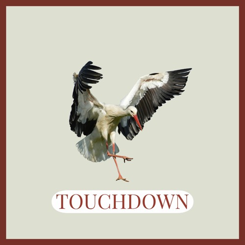 TOUCHDOWN