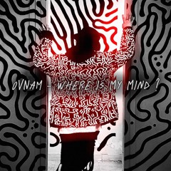 OVNAM - Where Is My Mind ?