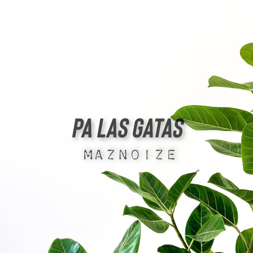 Medina! X Faiken - Pa Las Gatas(Maznoize Remix)