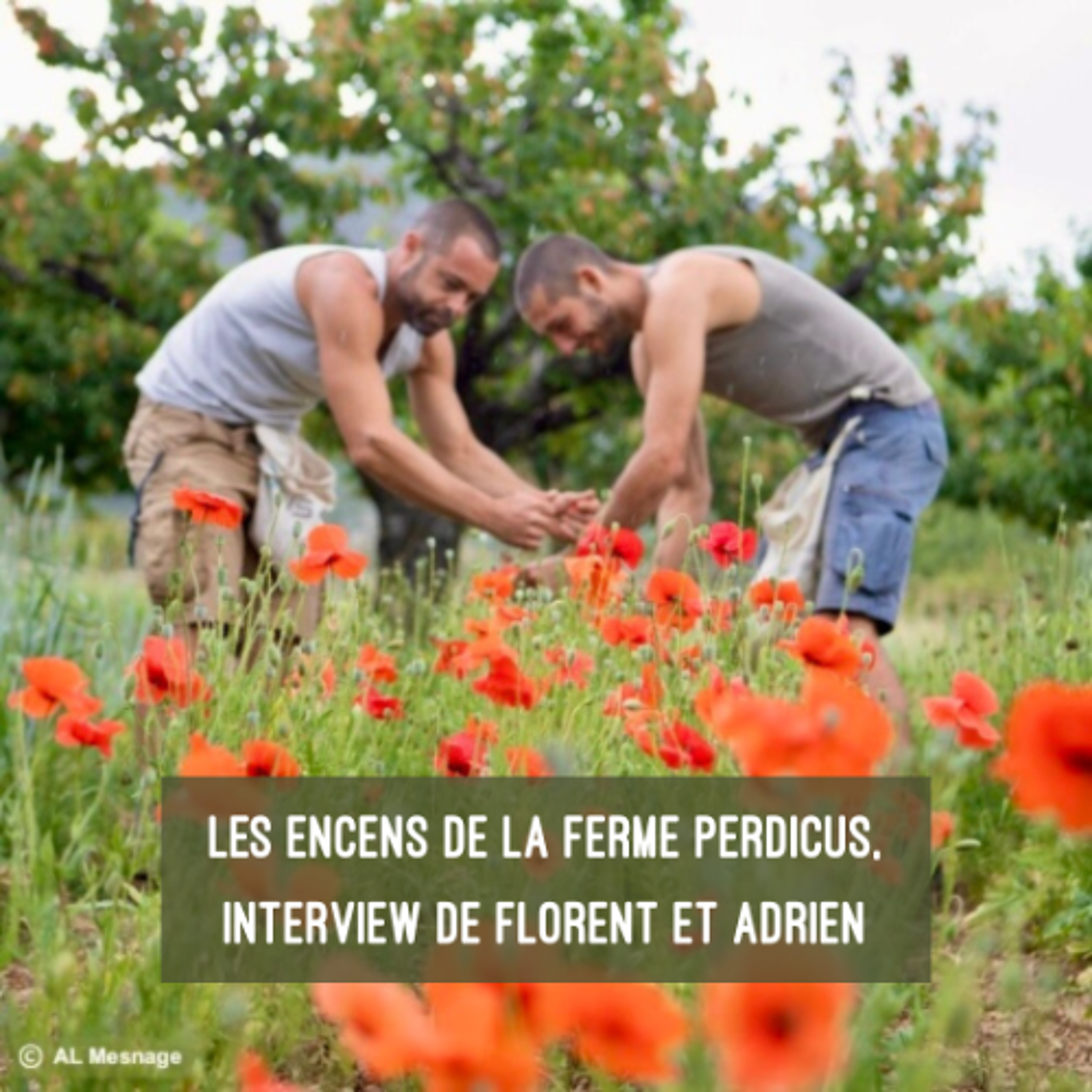 Les encens de la Ferme Perdicus, interview de Florent et Adrien