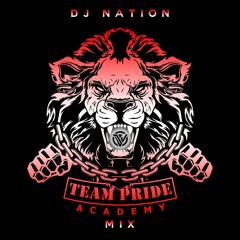 DJ NATION FT TEAM PRIDE MIX #808 #NORTHCHAPTER