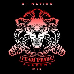 DJ NATION FT TEAM PRIDE MIX #808 #NORTHCHAPTER