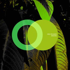 PREMIERE: High On Mars - Olympus (Original Mix) [Area Verde]