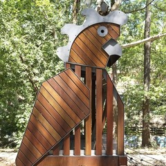 Ngaraora (Glossy Black Cockatoo)