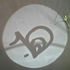 Oboskop - Colors (Farbecht) '17