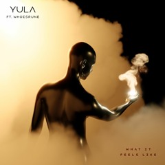 YULA & Whoisrune - What It Feels Like