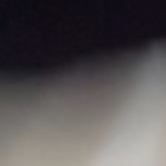 Polo (demo)