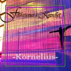 Ingen vinner fram til den evige ro