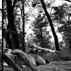 death vine compilation 2023