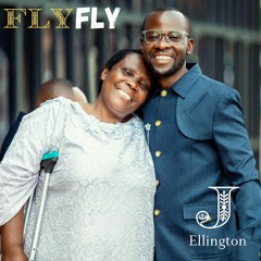 Fly Fly (Peace Reside)