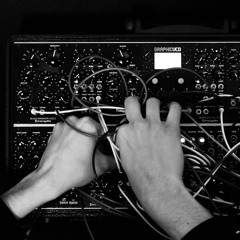 modular systems_ bi- polarization (snippet)