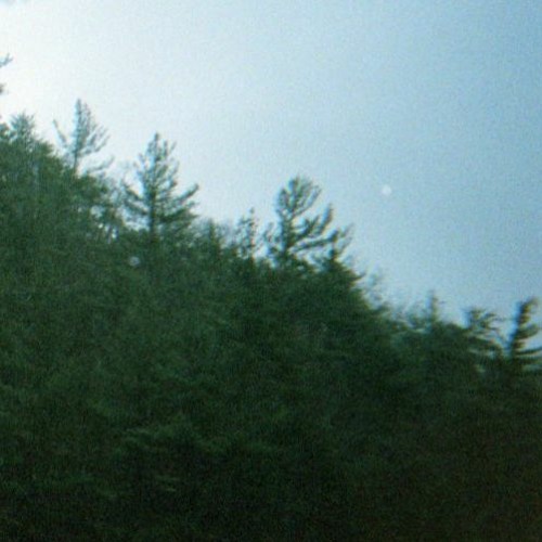 not home. - i need this (ft. skele)