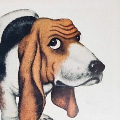 basset hound, again