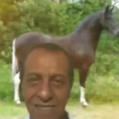 carlinhos ganhou 2050 calorias com cane de cavalo, o carlnhos bateu o recorde mundial em ganhar peso