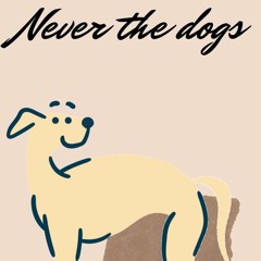 Never The Dogs/Never the Galgos!