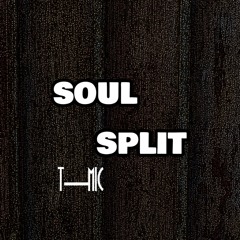 SOUL SPLIT