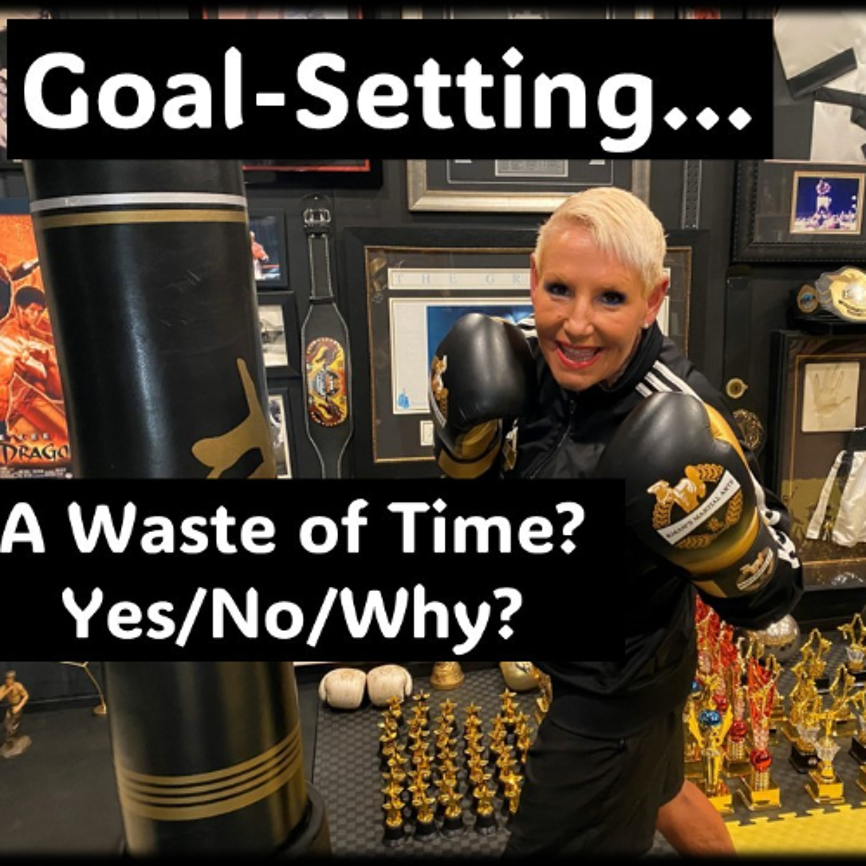 Set Goals A waste of time -  Yes No Why