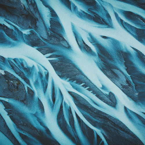 Neon Tide - Let Go
