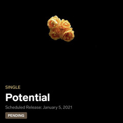 Potential(LadiHoopz Ft.Exzhale)