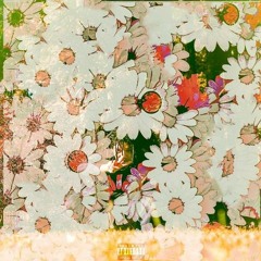 Tebtu - Stating Facts ft. Summrs (Prod. Iankon & Ninetyniiine)