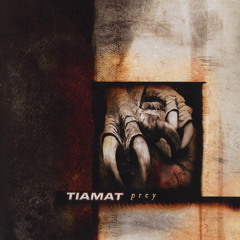 Tiamat|Divided