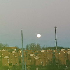 streetlight binary (single version)