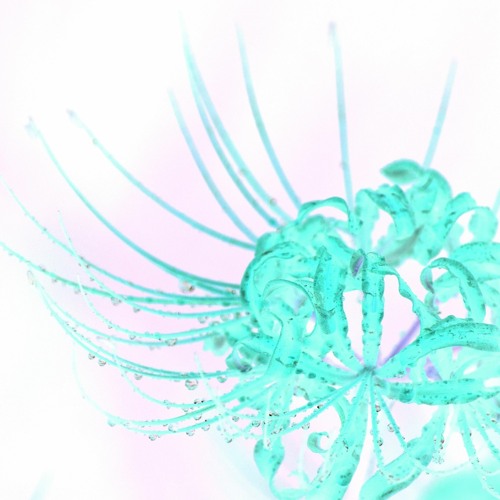 Frozen Flora