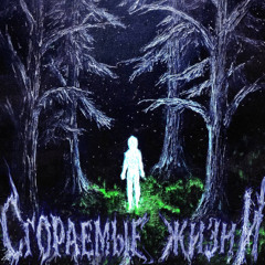 Новые