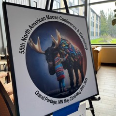 Recap Of Moose Conference In Grand Portage