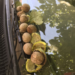 Mo Barash Darya Shodom عرفان طهماسبی