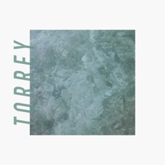 Torrey - Bounce