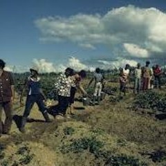 Wolf In Sheep's Clothing- A Beat by Bxshxp