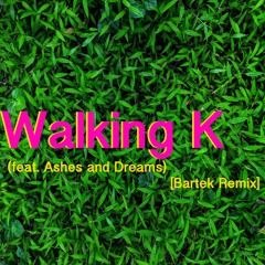 Walking K (feat. Ashes And Dreams) [Bartek Remix]