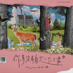 Did You See A Little Deer - Bạch Lộc /BaiLu / 白鹿