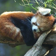 you do not need, want or deserve any less from me.