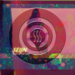 Seijn - Turn Up The Heat