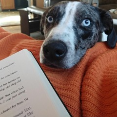 Batman Is A Chewbacca Pickle