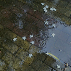 existential crisis (wonder what it all really means)