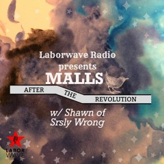 Malls After The Revolution w/ Shawn of Srsly Wrong