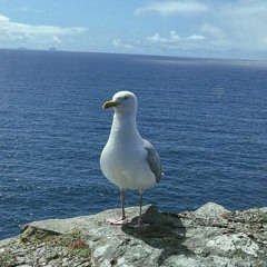 Matt's Groove (Mix: RACHEL AND DULUTH)